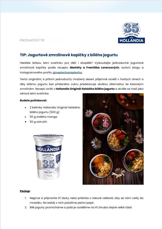 download item - Hollandi recept: Jogurtové zmrzlinové kapičky